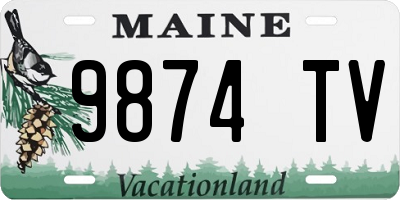 ME license plate 9874TV