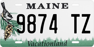 ME license plate 9874TZ