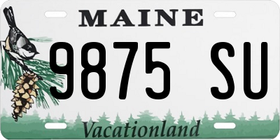 ME license plate 9875SU