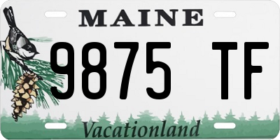 ME license plate 9875TF