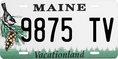 ME license plate 9875TV