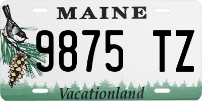 ME license plate 9875TZ