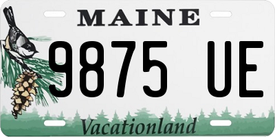 ME license plate 9875UE