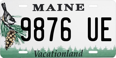 ME license plate 9876UE