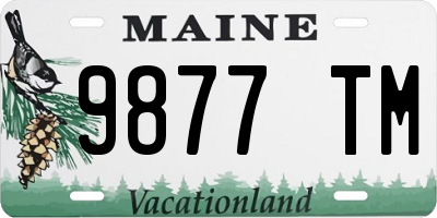 ME license plate 9877TM