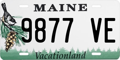 ME license plate 9877VE