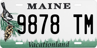 ME license plate 9878TM