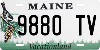 ME license plate 9880TV