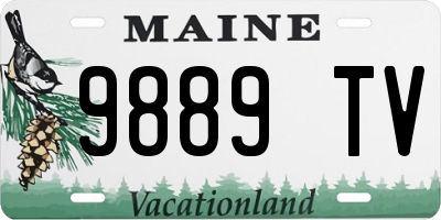 ME license plate 9889TV