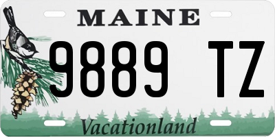 ME license plate 9889TZ