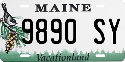 ME license plate 9890SY