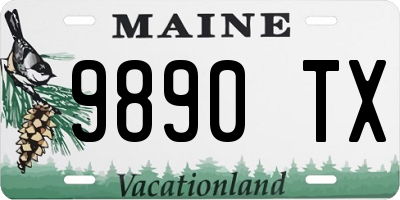 ME license plate 9890TX