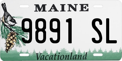 ME license plate 9891SL