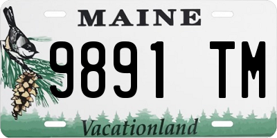 ME license plate 9891TM