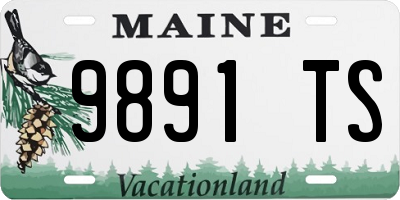 ME license plate 9891TS