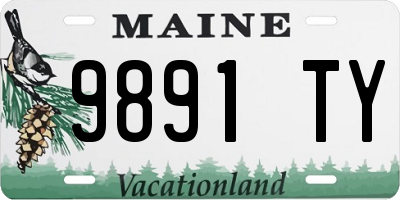 ME license plate 9891TY