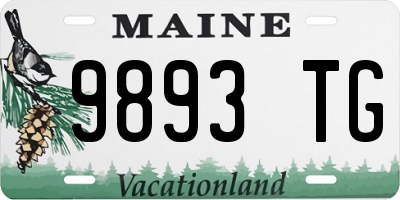 ME license plate 9893TG