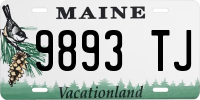 ME license plate 9893TJ