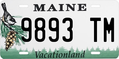 ME license plate 9893TM