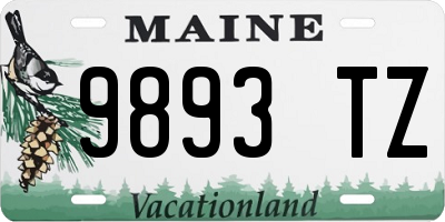 ME license plate 9893TZ