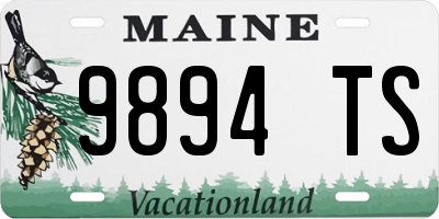 ME license plate 9894TS