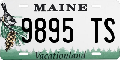 ME license plate 9895TS