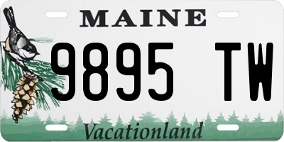 ME license plate 9895TW