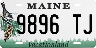 ME license plate 9896TJ