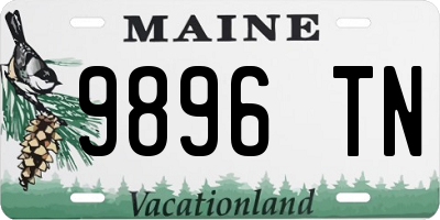 ME license plate 9896TN