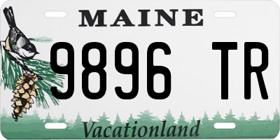 ME license plate 9896TR