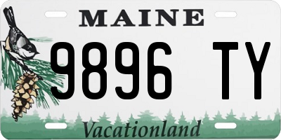 ME license plate 9896TY