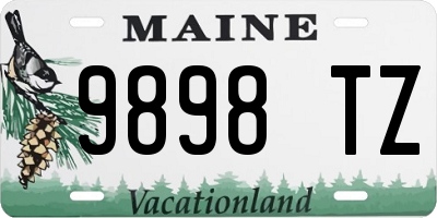 ME license plate 9898TZ
