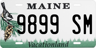 ME license plate 9899SM