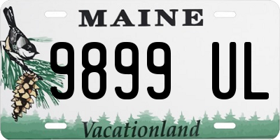 ME license plate 9899UL