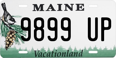 ME license plate 9899UP