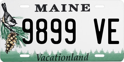 ME license plate 9899VE