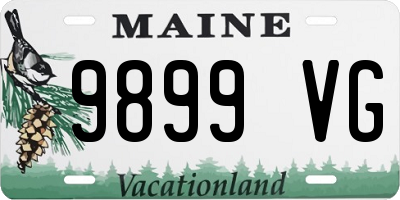 ME license plate 9899VG