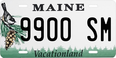 ME license plate 9900SM