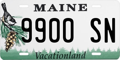 ME license plate 9900SN