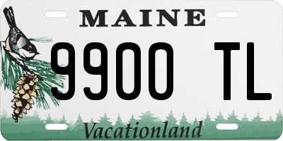 ME license plate 9900TL