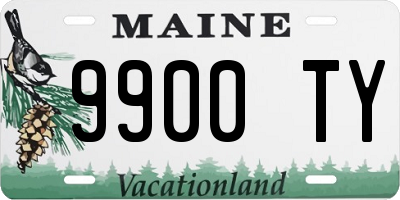 ME license plate 9900TY
