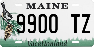 ME license plate 9900TZ