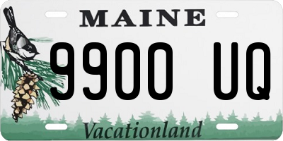 ME license plate 9900UQ