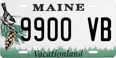 ME license plate 9900VB