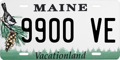 ME license plate 9900VE