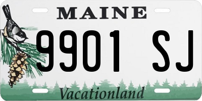 ME license plate 9901SJ