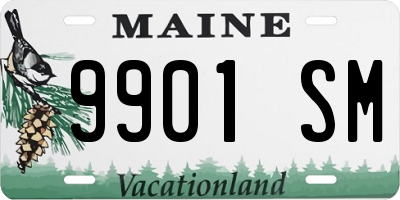 ME license plate 9901SM
