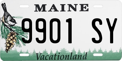 ME license plate 9901SY