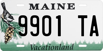 ME license plate 9901TA