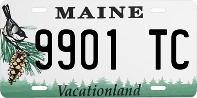 ME license plate 9901TC
